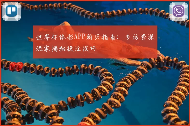 世界杯体彩APP购买指南：专访资深玩家揭秘投注技巧