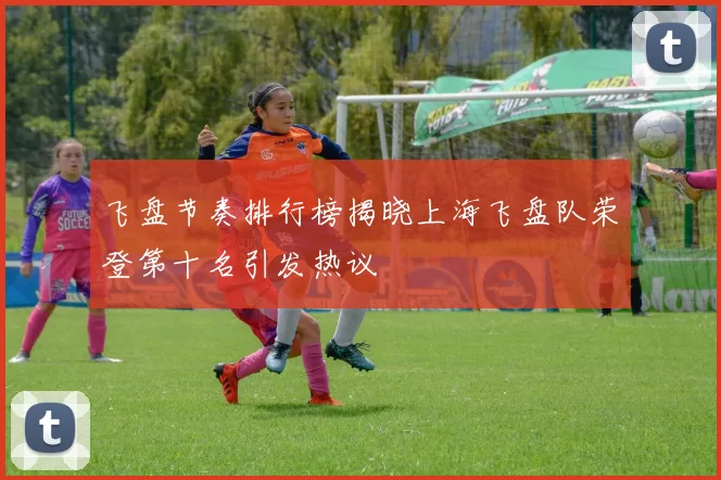 飞盘节奏排行榜揭晓上海飞盘队荣登第十名引发热议