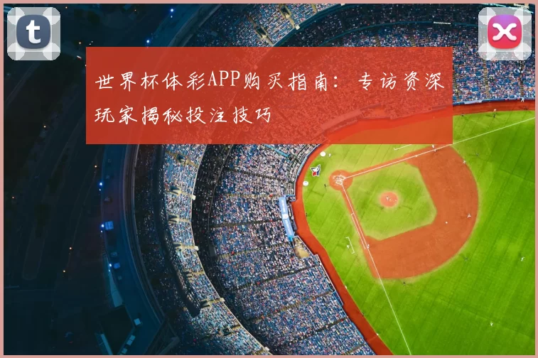 世界杯体彩APP购买指南:专访资深玩家揭秘投注技巧