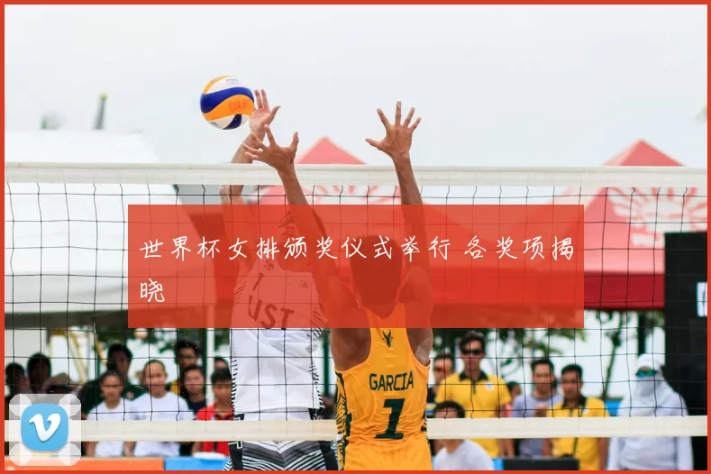 世界杯女排颁奖仪式举行 各奖项揭晓