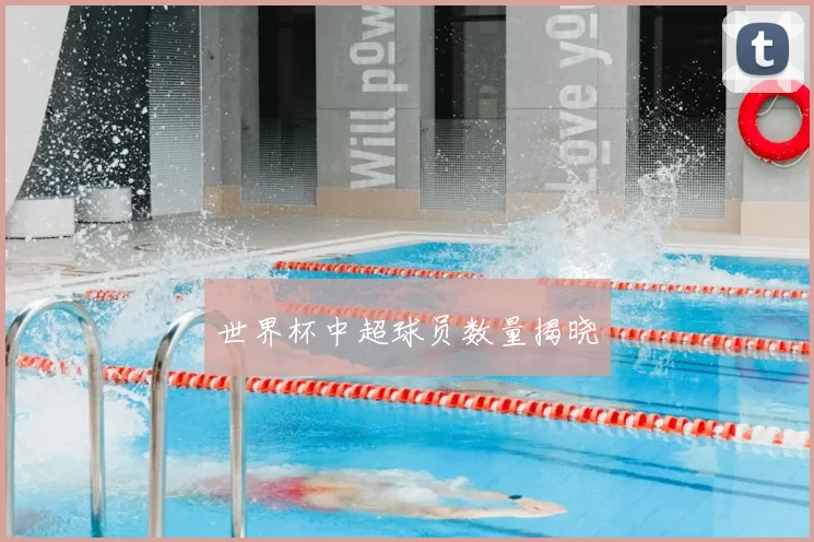 世界杯中超球员数量揭晓