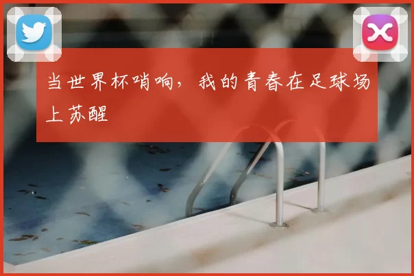 当世界杯哨响,我的青春在足球场上苏醒