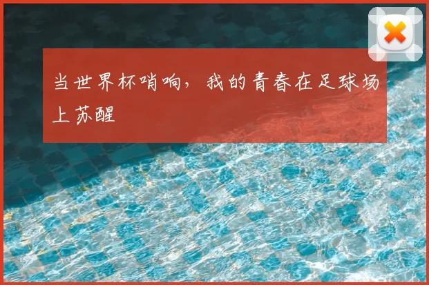 当世界杯哨响，我的青春在足球场上苏醒