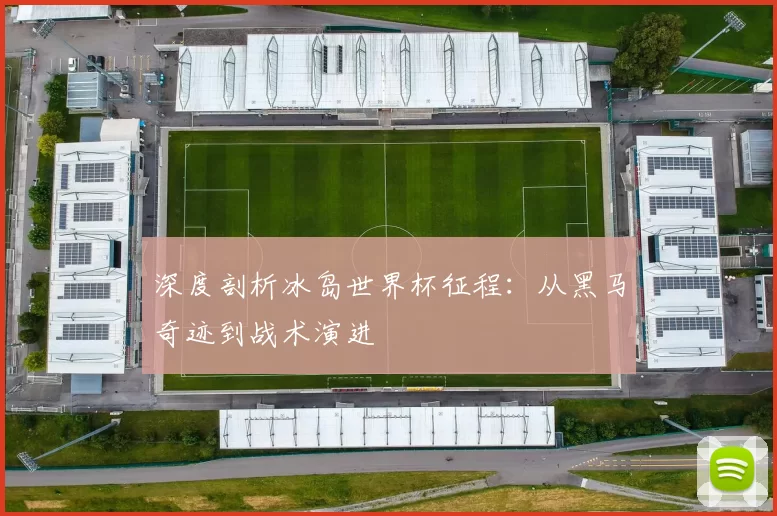 深度剖析冰岛世界杯征程:从黑马奇迹到战术演进