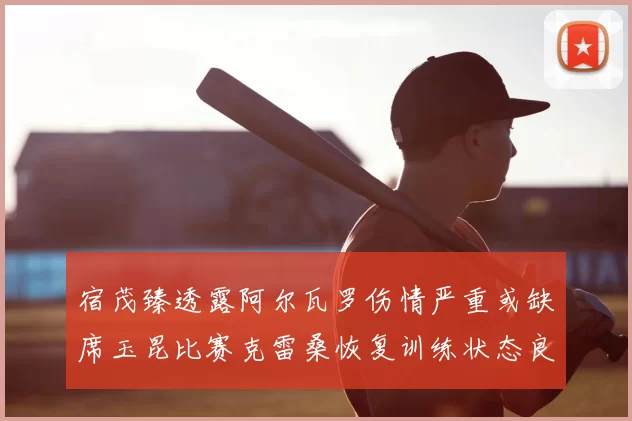宿茂臻透露阿尔瓦罗伤情严重或缺席玉昆比赛克雷桑恢复训练状态良好