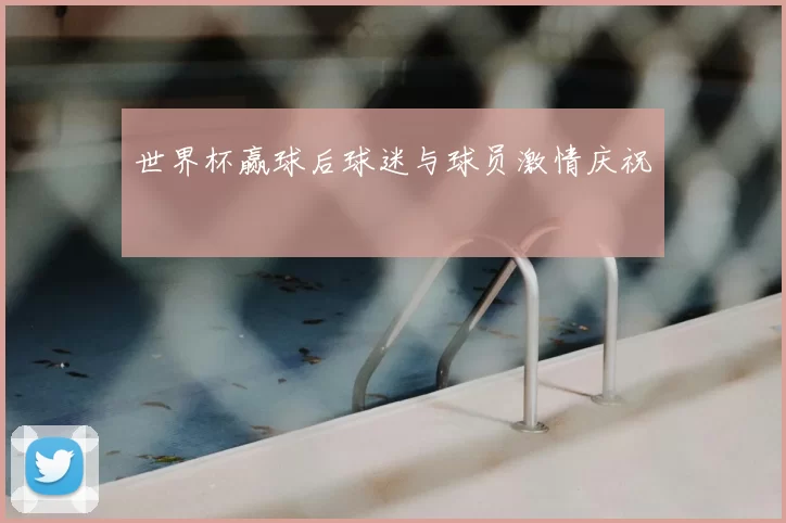 世界杯赢球后球迷与球员激情庆祝