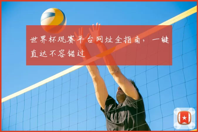 世界杯观赛平台网址全指南,一键直达不容错过