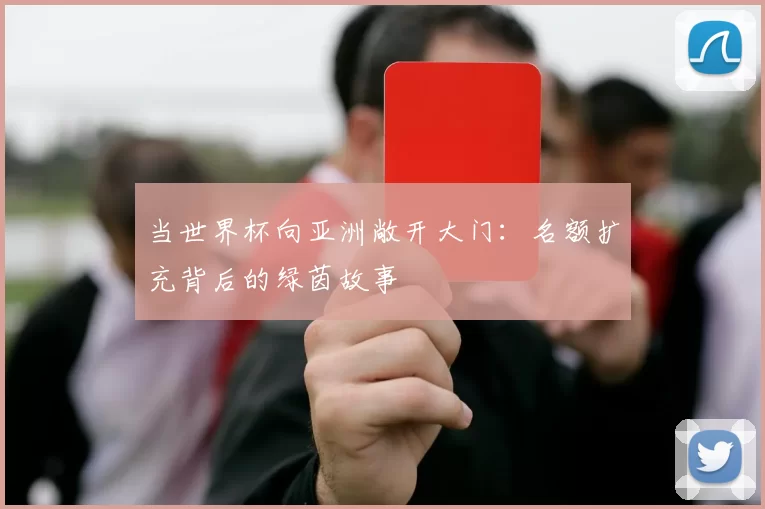 当世界杯向亚洲敞开大门:名额扩充背后的绿茵故事