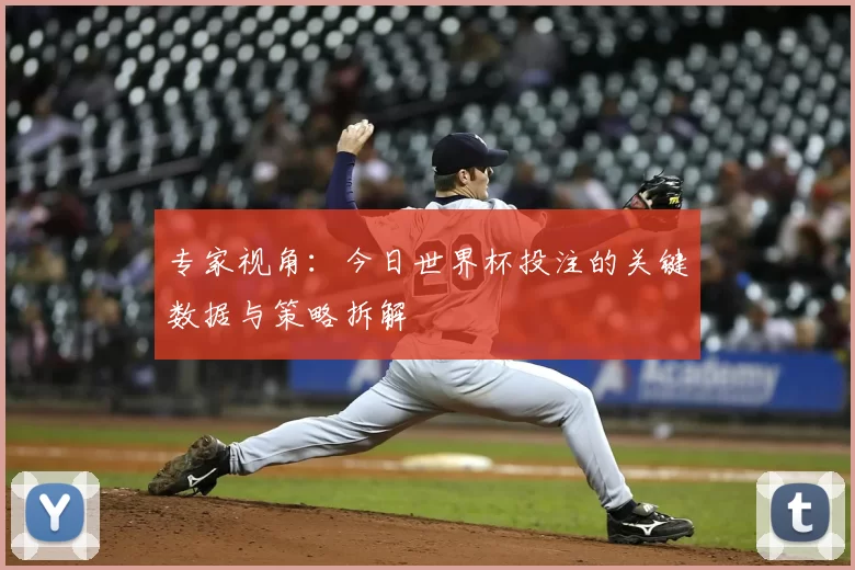 专家视角：今日世界杯投注的关键数据与策略拆解