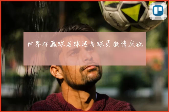 世界杯赢球后球迷与球员激情庆祝