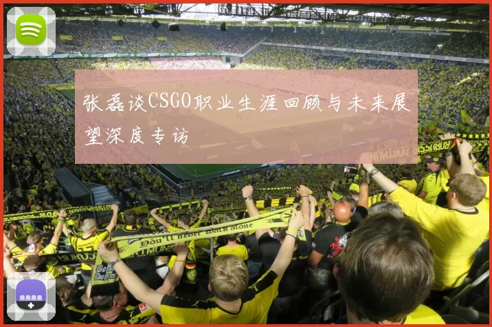 张磊谈CSGO职业生涯回顾与未来展望深度专访