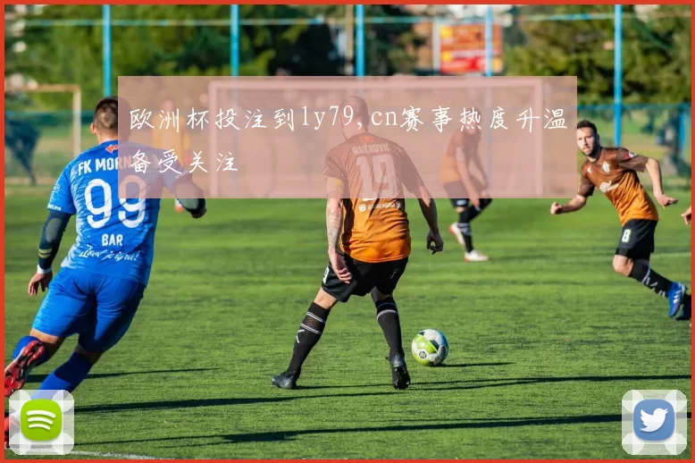 欧洲杯投注到ly79,cn赛事热度升温备受关注
