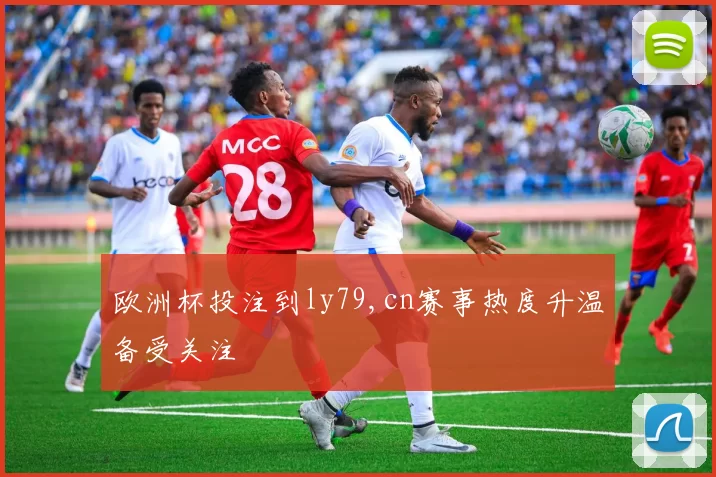 欧洲杯投注到ly79,cn赛事热度升温备受关注